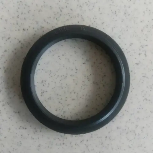 SEAL HYDRAULIC LBH